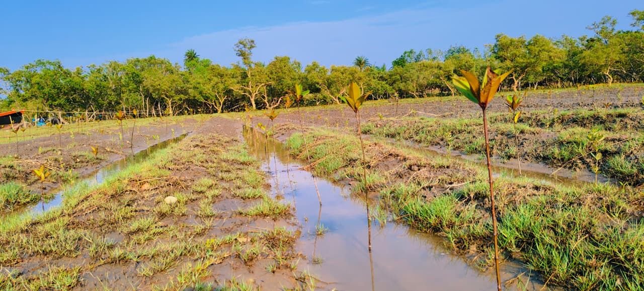 Project Sundari Environment